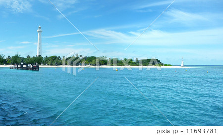 ニューカレドニアのアメデ島 11693781