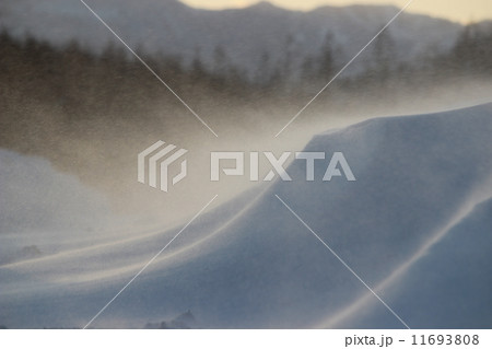 地吹雪 地吹雪 11693808