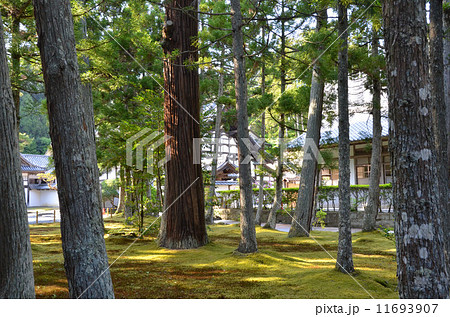 伊達正宗が再建した松島の瑞巌寺の国宝庫裡 伊達正宗が再建した松島の瑞巌寺の国宝庫裡 11693907