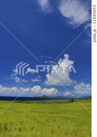 石垣島　草原と海と青空の真夏のイメージ 11694055