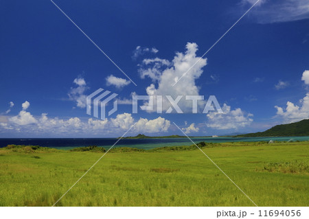 石垣島　草原と海と青空の真夏のイメージ 11694056