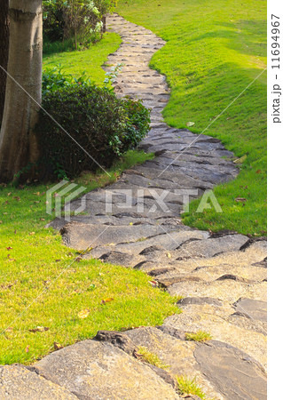 Garden walk way 11694967