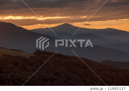 sunset sunset 11695137