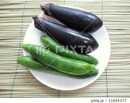 お盆　盆棚に敷く真菰(まこも)とお供え物の夏野菜　  11695377
