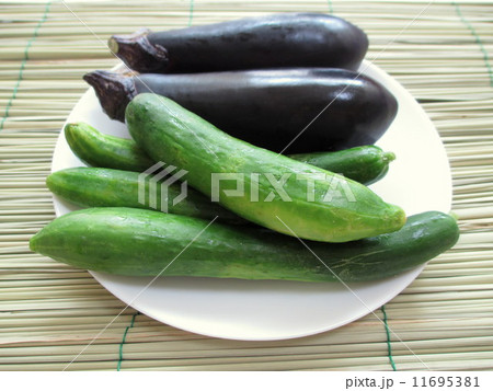 お盆　盆棚に敷く真菰(まこも)とお供え物の夏野菜　 11695381