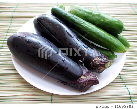 お盆　盆棚に敷く真菰(まこも)とお供え物の夏野菜　 11695383