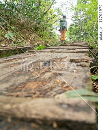 木道と山ガール２ 11702970