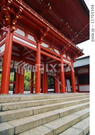 近江神宮 楼門 近江神宮 楼門 11703398