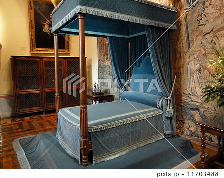 シュノンソー城 11703488