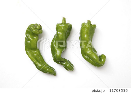 万願寺 万願寺 11703556