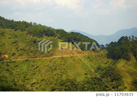 Mountain Road Mountain Road 11703635