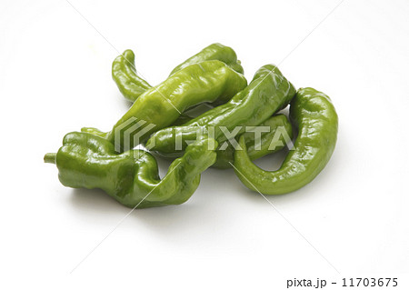 万願寺 万願寺 11703675