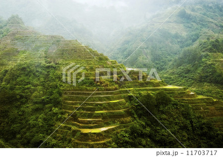 Banaue Rice Terraces 11703717
