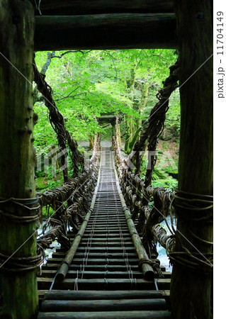 徳島県：祖谷のかずら橋 11704149