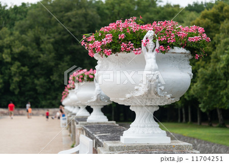 シュノンソー城の庭園 11704251