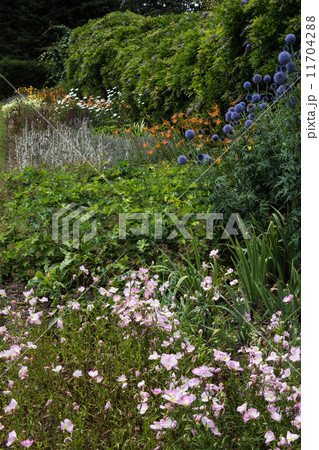 ＨＡLＬ　ＰＬＡＣＥ 11704288