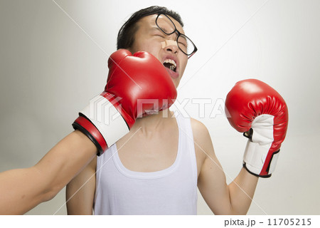 Portrait of Asian Boxer Portrait of Asian Boxer 11705215