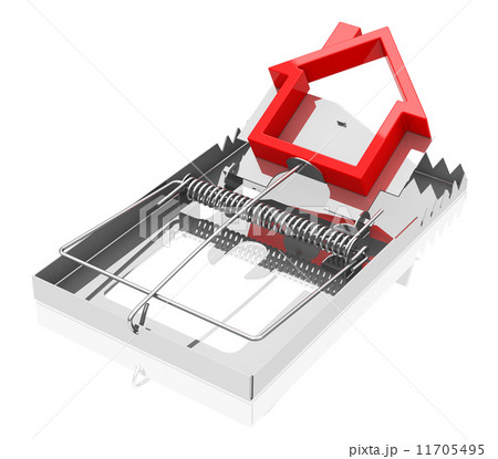 the house trap 11705495