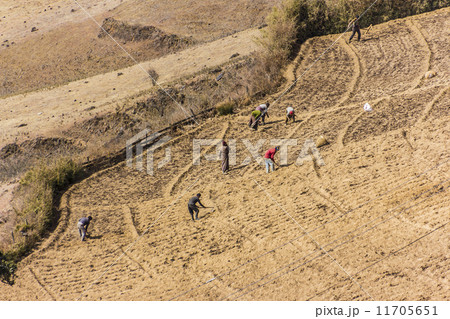 farmers at work 11705651
