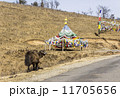 yak and prayer flags 11705656