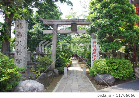 鳩森神社 11706066