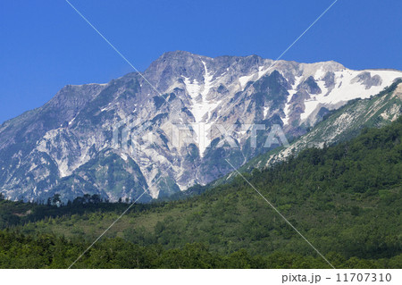 栂池自然園 栂池自然園 11707310