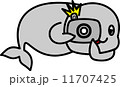 スナメリ（カメラ２） 11707425