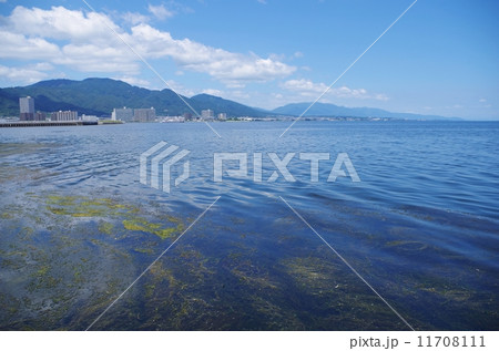 琵琶湖 琵琶湖 11708111