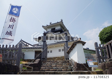掛川城と旗 掛川城と旗 11708325
