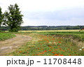 フランス 11708448