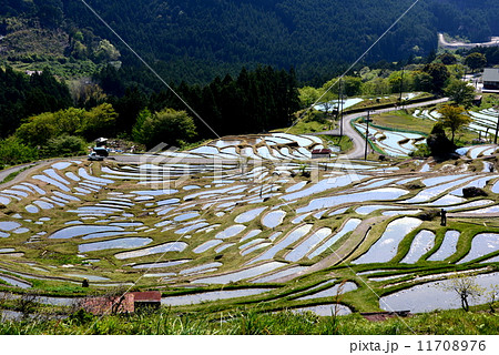 丸山の千枚田 丸山の千枚田 11708976