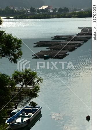 牡蠣の養殖筏 11709033