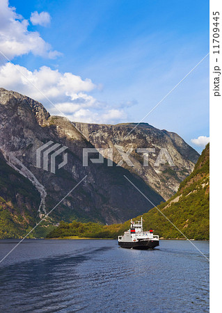 Fjord Sognefjord - Norway 11709445