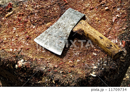 Axe on chopping board Axe on chopping board 11709734