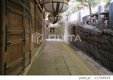 釣り灯篭と小道、奈良、日本 11709929