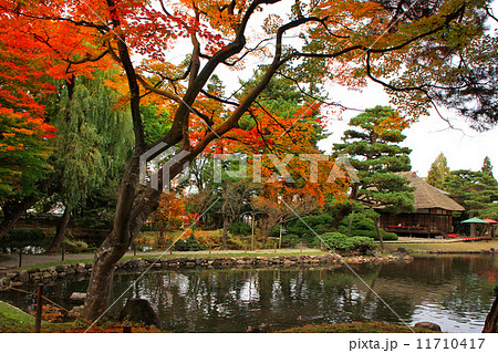 秋の御薬園 11710417