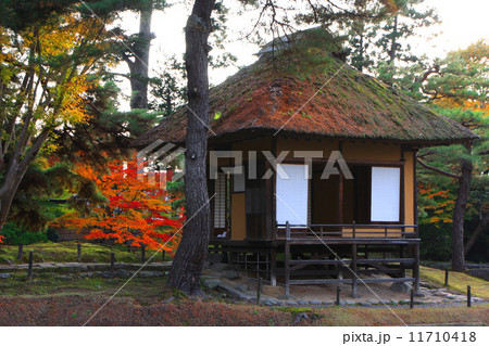 秋の御薬園 秋の御薬園 11710418