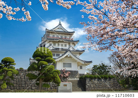 千葉県千葉市の千葉城と満開の桜 11710603