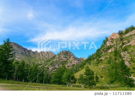 テレルジ 11711380