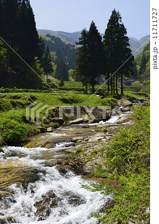 山間の流れ／兵庫県　香美町 11711727