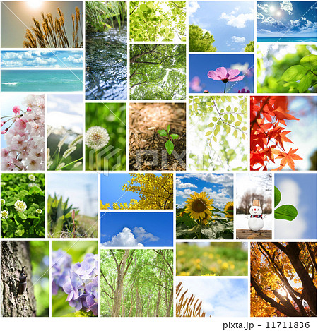 春夏秋冬 11711836