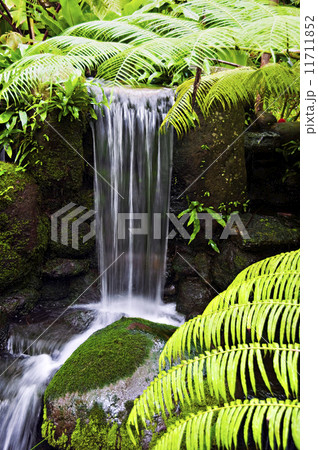 Waterfall Waterfall 11711852