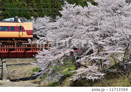 鉄道　　列車　山陰本線　京都口　381系　船岡～日吉　桜　満開　春　鉄橋　南丹市　特急　国鉄色　JR西日本　嵯峨野線　きのさき　はしだて　 11713569