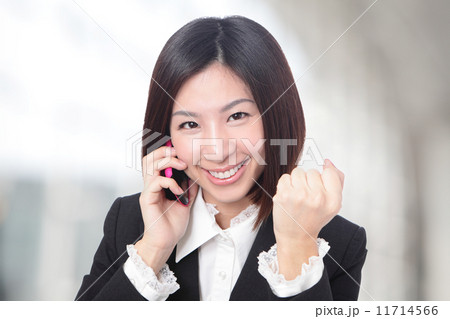 successful business woman smile face successful business woman smile face 11714566