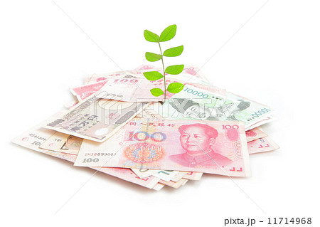 Green plant leaf growing on money 11714968