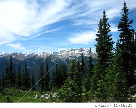 カナダ、ロッキー山脈　遠望 11716220