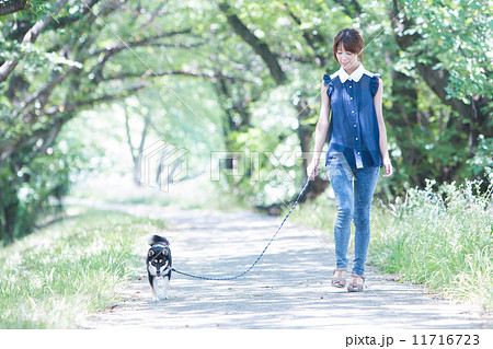 犬の散歩をする女性の写真素材