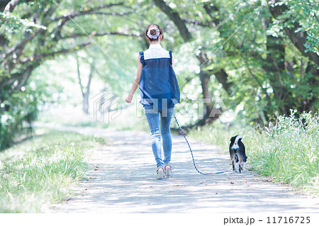 犬の散歩をする女性 11716725