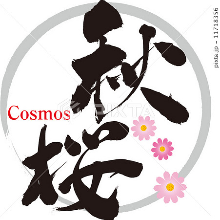 秋桜のイラスト素材