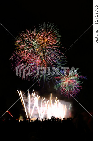 花火 11718705